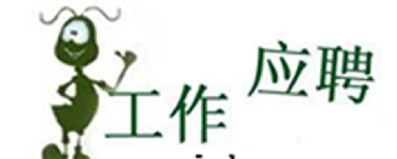 “构建高效协作新典范——应聘网免费服务网站人力资源测评服务优化建议”